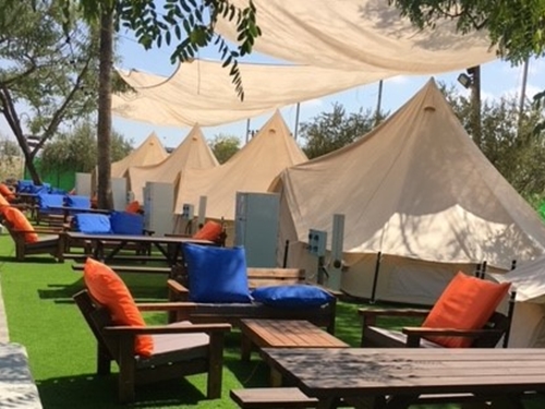 דג בכפר - פארק דייג